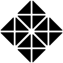 SCT Flash logo